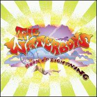 The Waterboys : Book of Lightning